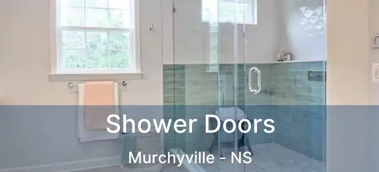  Shower Doors Murchyville - NS