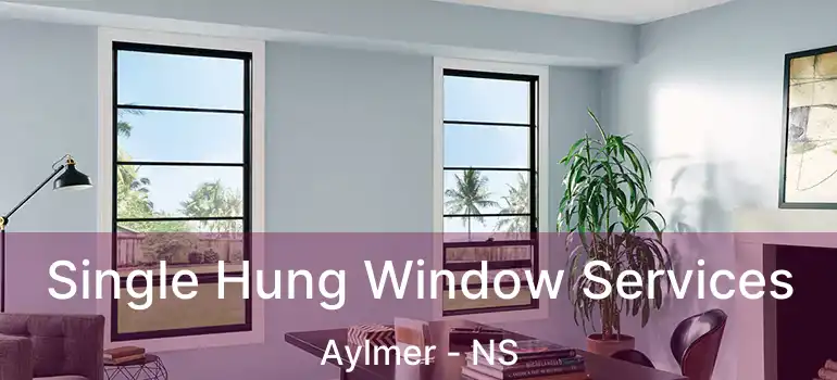  Single Hung Window Services Aylmer - NS