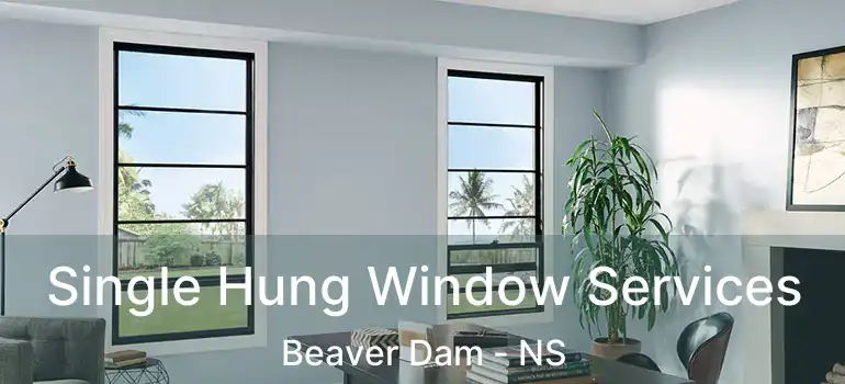  Single Hung Window Services Beaver Dam - NS