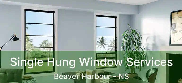  Single Hung Window Services Beaver Harbour - NS