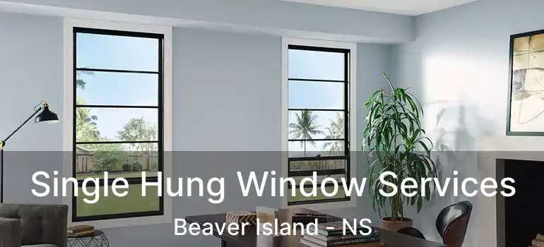  Single Hung Window Services Beaver Island - NS