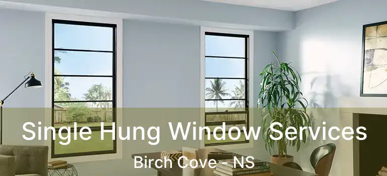  Single Hung Window Services Birch Cove - NS