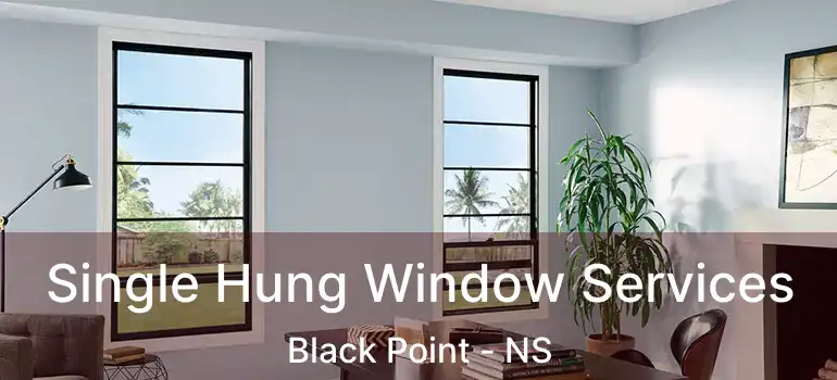  Single Hung Window Services Black Point - NS