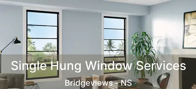  Single Hung Window Services Bridgeviews - NS