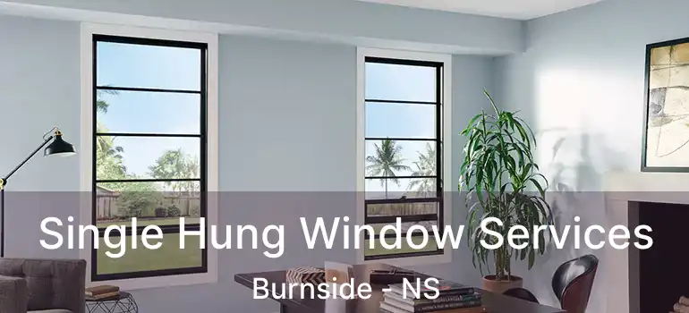  Single Hung Window Services Burnside - NS