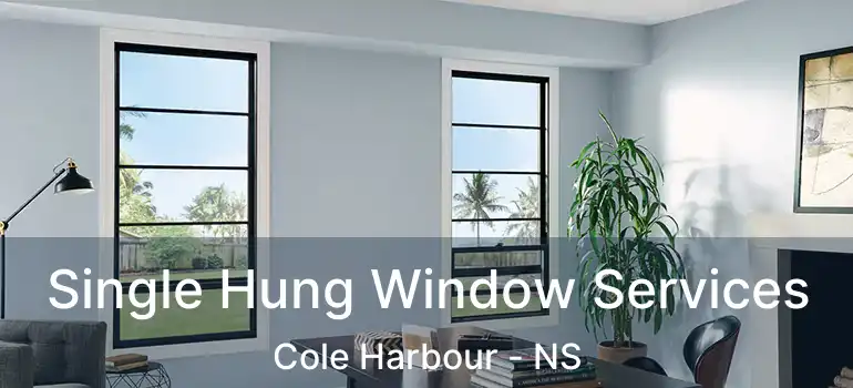  Single Hung Window Services Cole Harbour - NS