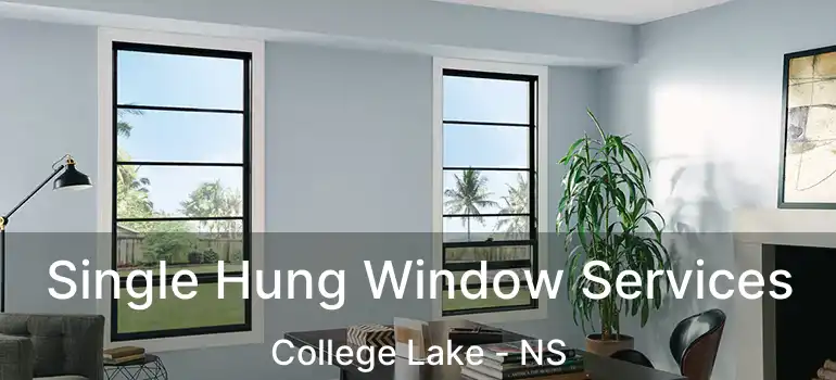  Single Hung Window Services College Lake - NS