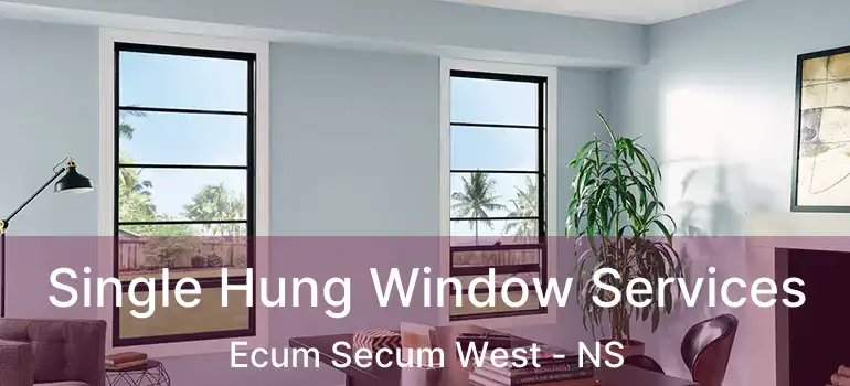  Single Hung Window Services Ecum Secum West - NS