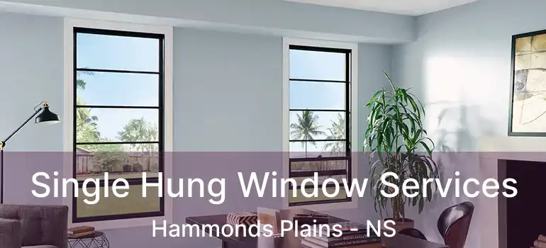  Single Hung Window Services Hammonds Plains - NS