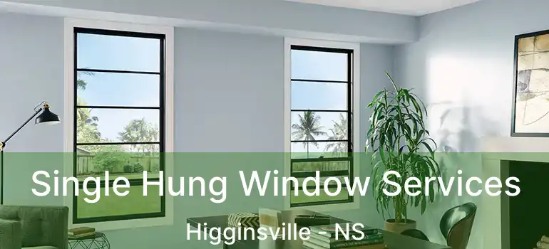  Single Hung Window Services Higginsville - NS