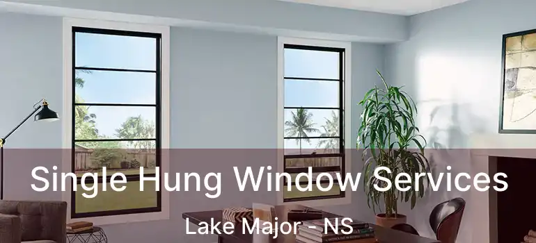  Single Hung Window Services Lake Major - NS