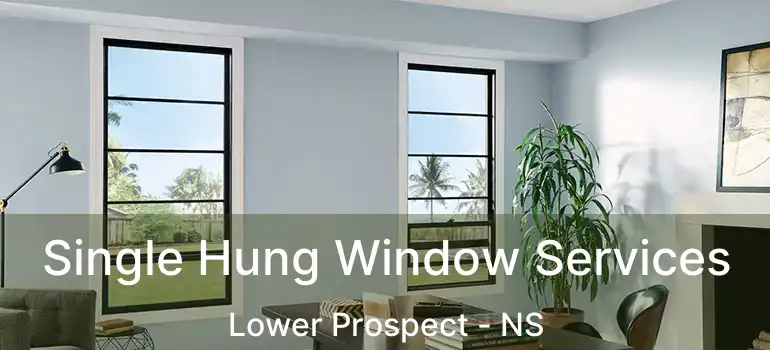  Single Hung Window Services Lower Prospect - NS