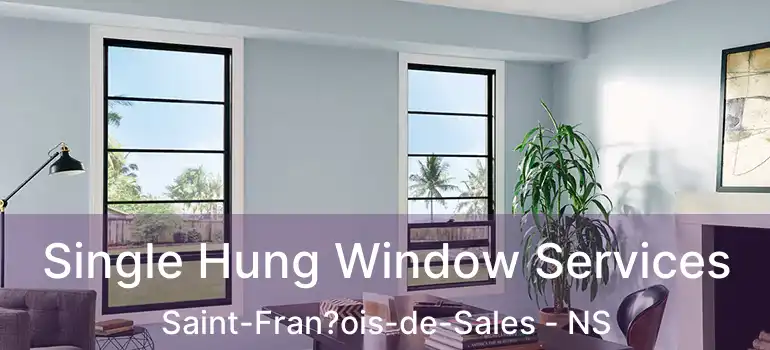  Single Hung Window Services Saint-Fran?ois-de-Sales - NS