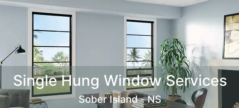  Single Hung Window Services Sober Island - NS