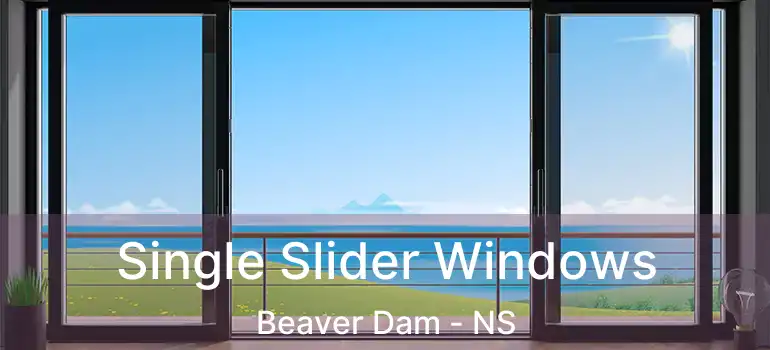  Single Slider Windows Beaver Dam - NS