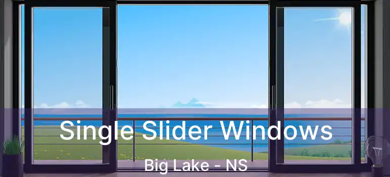  Single Slider Windows Big Lake - NS