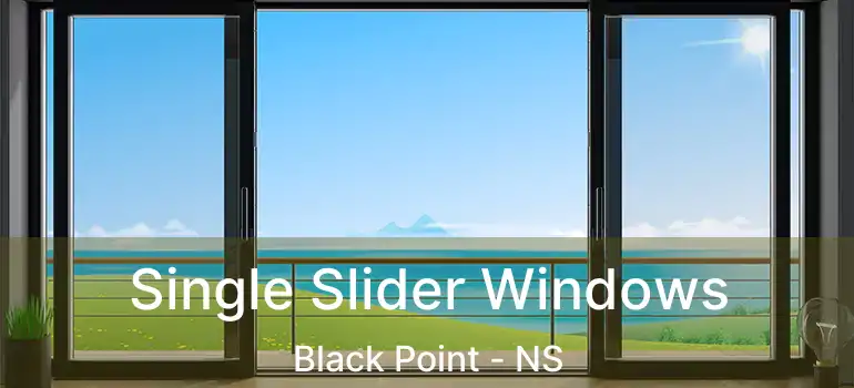  Single Slider Windows Black Point - NS