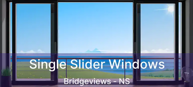  Single Slider Windows Bridgeviews - NS