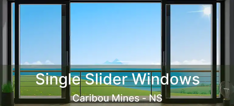  Single Slider Windows Caribou Mines - NS