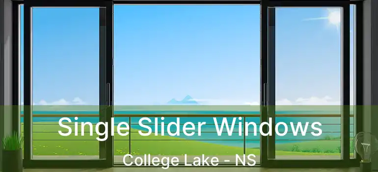  Single Slider Windows College Lake - NS