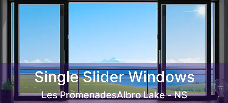  Single Slider Windows Les PromenadesAlbro Lake - NS