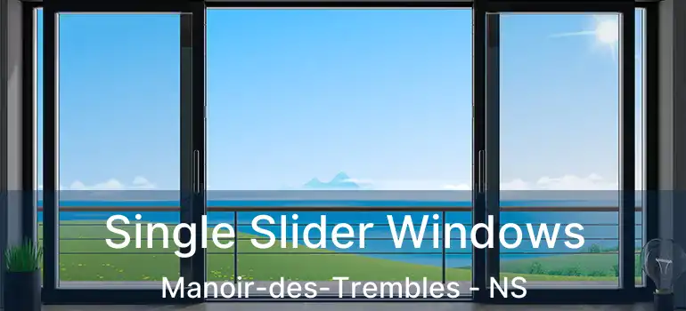  Single Slider Windows Manoir-des-Trembles - NS