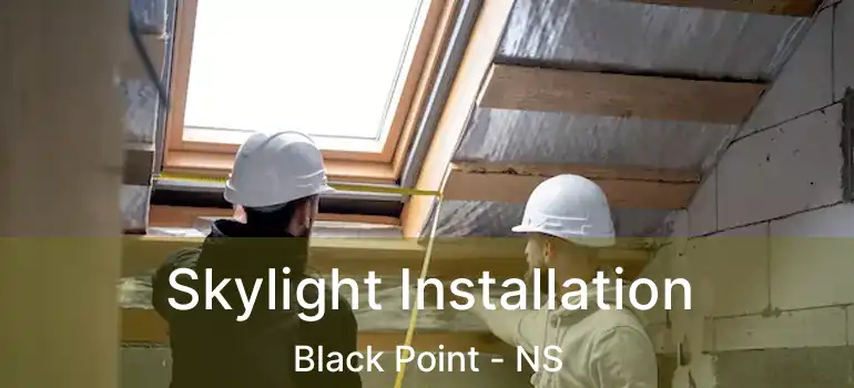  Skylight Installation Black Point - NS