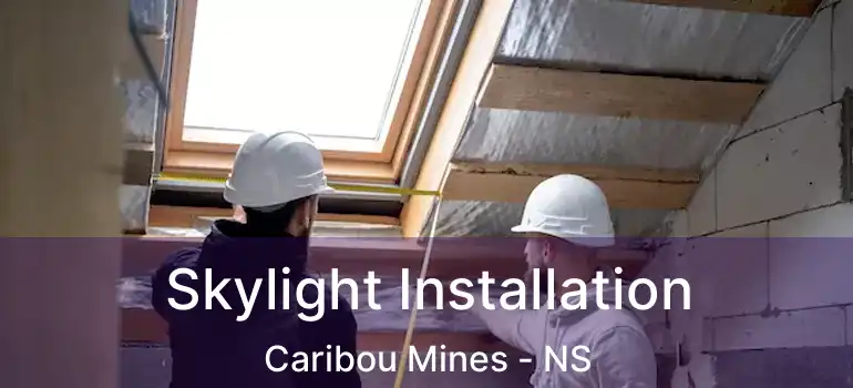  Skylight Installation Caribou Mines - NS