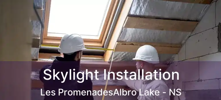  Skylight Installation Les PromenadesAlbro Lake - NS