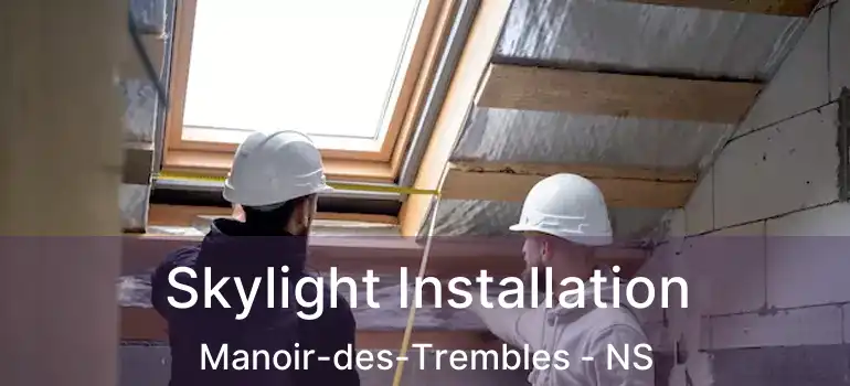  Skylight Installation Manoir-des-Trembles - NS