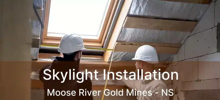  Skylight Installation Moose River Gold Mines - NS