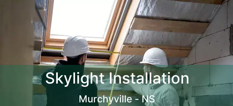  Skylight Installation Murchyville - NS