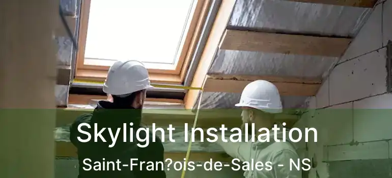  Skylight Installation Saint-Fran?ois-de-Sales - NS