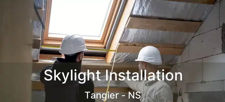  Skylight Installation Tangier - NS