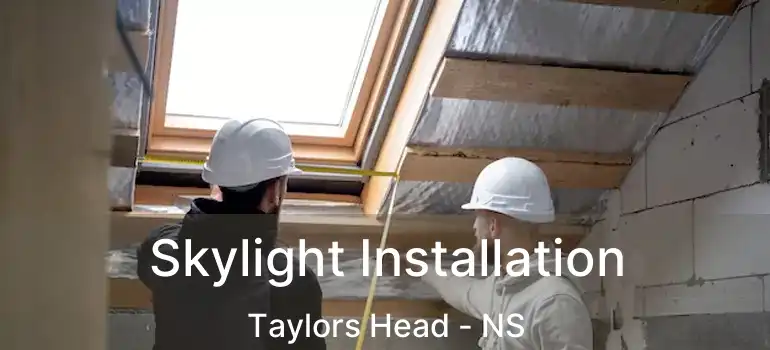  Skylight Installation Taylors Head - NS