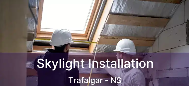  Skylight Installation Trafalgar - NS