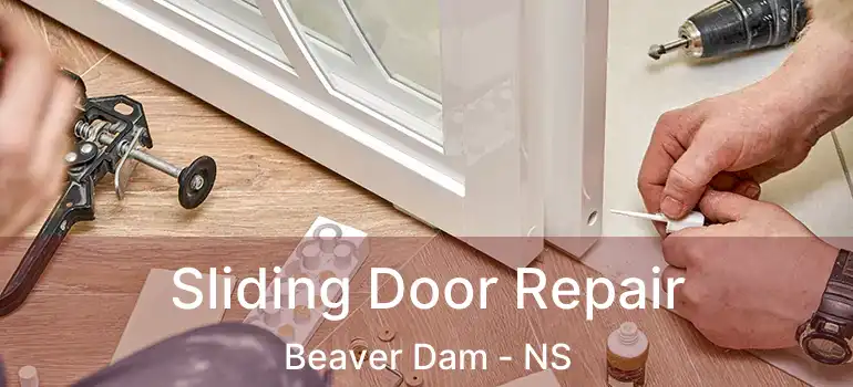  Sliding Door Repair Beaver Dam - NS