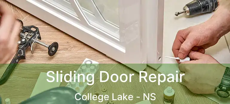  Sliding Door Repair College Lake - NS