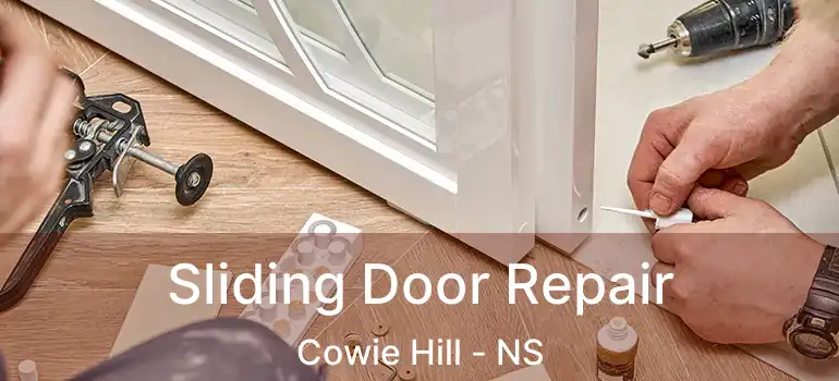  Sliding Door Repair Cowie Hill - NS