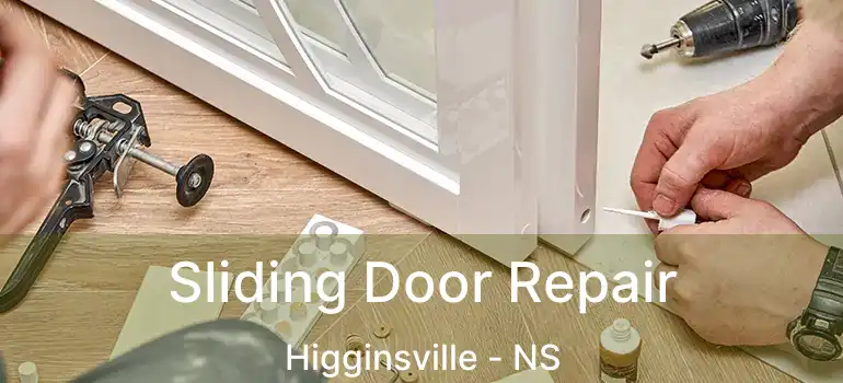  Sliding Door Repair Higginsville - NS