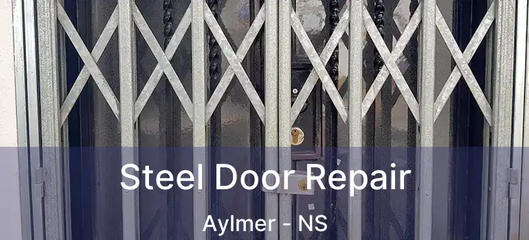  Steel Door Repair Aylmer - NS