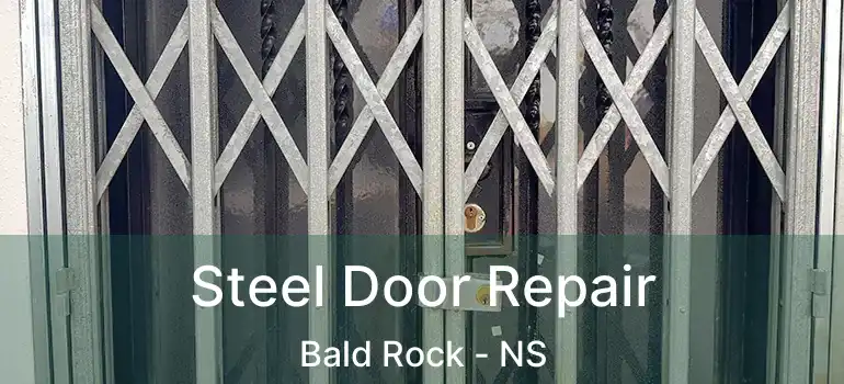  Steel Door Repair Bald Rock - NS