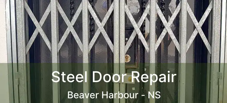  Steel Door Repair Beaver Harbour - NS