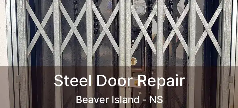  Steel Door Repair Beaver Island - NS