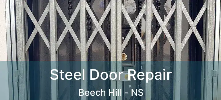  Steel Door Repair Beech Hill - NS