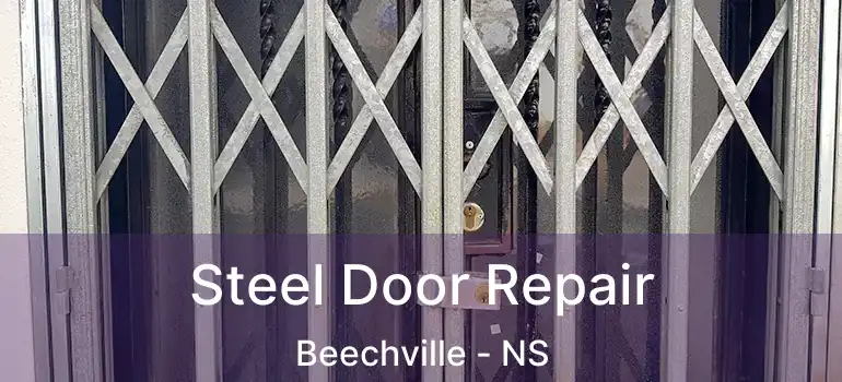  Steel Door Repair Beechville - NS