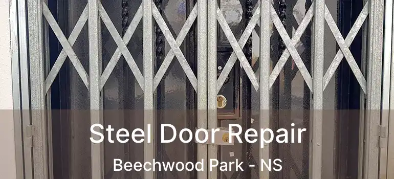  Steel Door Repair Beechwood Park - NS