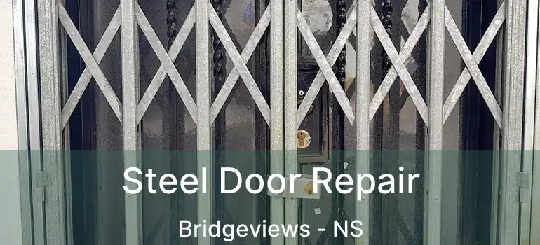  Steel Door Repair Bridgeviews - NS