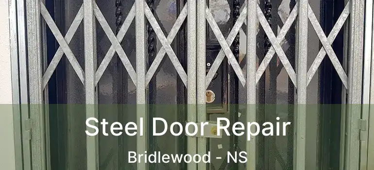  Steel Door Repair Bridlewood - NS