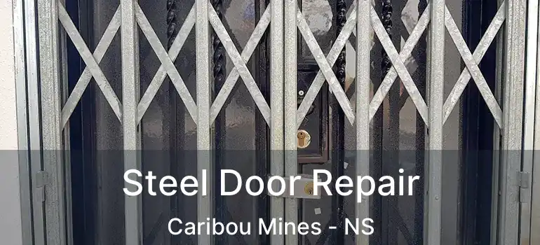  Steel Door Repair Caribou Mines - NS